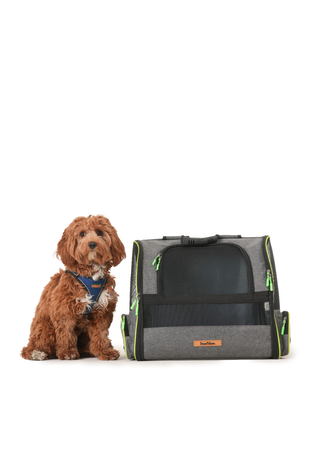 BR.PAWS XL PİRAMİT  MODEL KEDİ VE KÖPEK TAŞIMA ÇANTASI